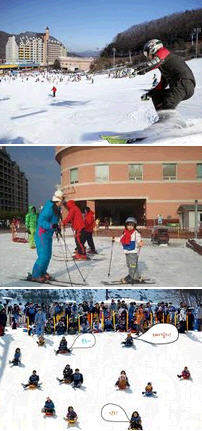 Yangji Pine Resort  / Yangji Ski Resort