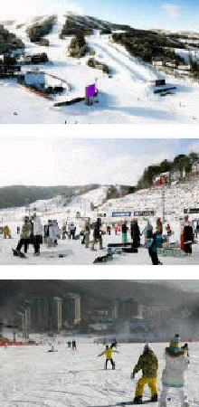 Kroea SKI Tour / Seoul Ski Tour Package