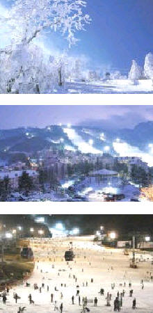 Kroea SKI Tour / Seoul Ski Tour Package